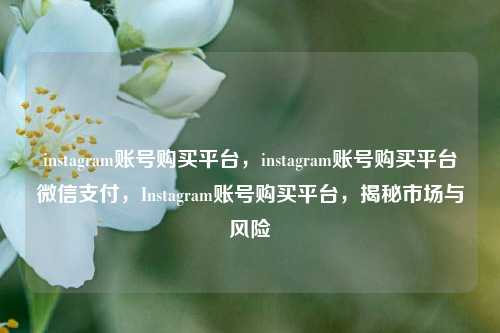 instagram账号购买平台，instagram账号购买平台微信支付，Instagram账号购买平台，揭秘市场与风险