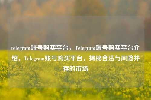 telegram账号购买平台，Telegram账号购买平台介绍，Telegram账号购买平台，揭秘合法与风险并存的市场