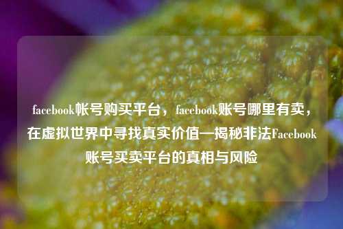 facebook帐号购买平台，facebook账号哪里有卖，在虚拟世界中寻找真实价值—揭秘非法Facebook账号买卖平台的真相与风险