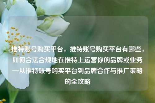 推特账号购买平台，推特账号购买平台有哪些，如何合法合规地在推特上运营你的品牌或业务—从推特账号购买平台到品牌合作与推广策略的全攻略