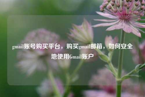gmail账号购买平台	，购买gmail邮箱，如何安全地使用Gmail账户  第1张