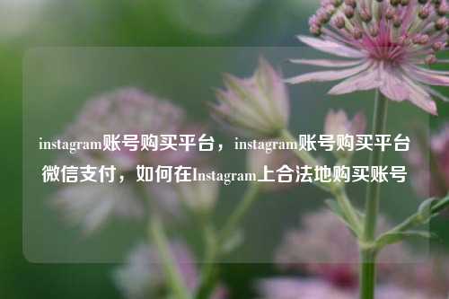 instagram账号购买平台，instagram账号购买平台微信支付，如何在Instagram上合法地购买账号