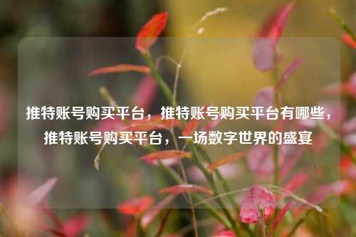 推特账号购买平台，推特账号购买平台有哪些，推特账号购买平台，一场数字世界的盛宴
