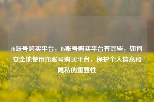 fb账号购买平台，fb账号购买平台有哪些，如何安全地使用FB账号购买平台，保护个人信息和隐私的重要性
