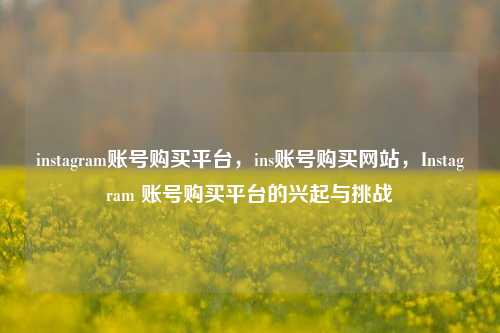 instagram账号购买平台，ins账号购买网站，Instagram 账号购买平台的兴起与挑战