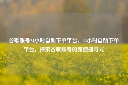 谷歌账号24小时自助下单平台，24小时自助下单平台，探索谷歌账号的新便捷方式
