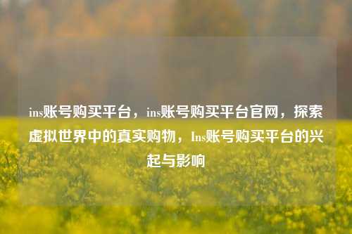 ins账号购买平台，ins账号购买平台官网，探索虚拟世界中的真实购物，Ins账号购买平台的兴起与影响