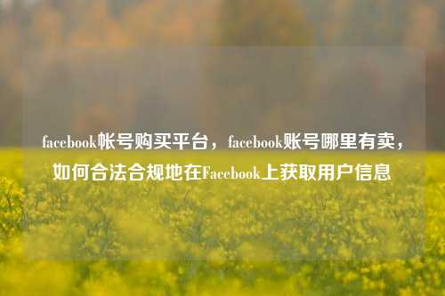 facebook帐号购买平台，facebook账号哪里有卖，如何合法合规地在Facebook上获取用户信息