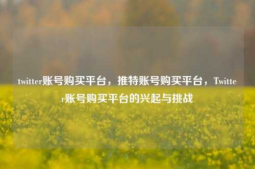 twitter账号购买平台，推特账号购买平台，Twitter账号购买平台的兴起与挑战