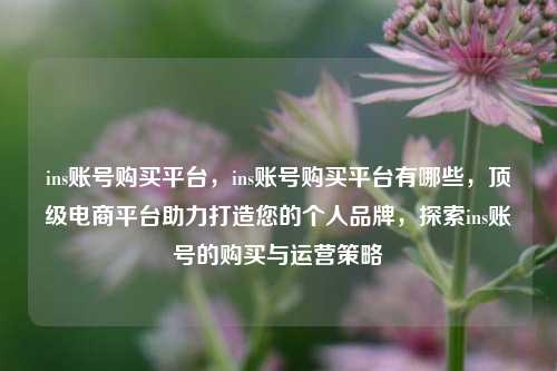 ins账号购买平台，ins账号购买平台有哪些，顶级电商平台助力打造您的个人品牌，探索ins账号的购买与运营策略