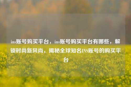 ins账号购买平台，ins账号购买平台有哪些，解锁时尚新风尚，揭秘全球知名INS账号的购买平台