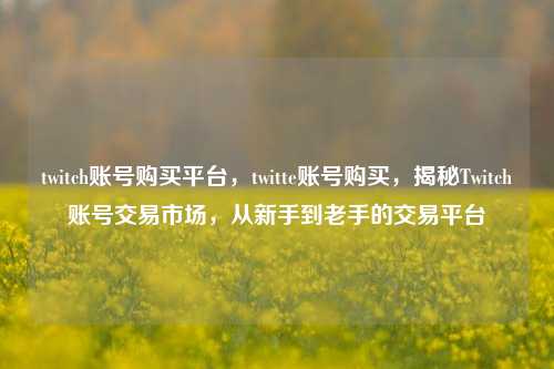 twitch账号购买平台，twitte账号购买，揭秘Twitch账号交易市场，从新手到老手的交易平台