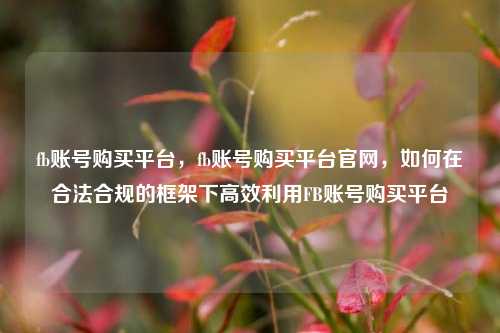 fb账号购买平台，fb账号购买平台官网，如何在合法合规的框架下高效利用FB账号购买平台