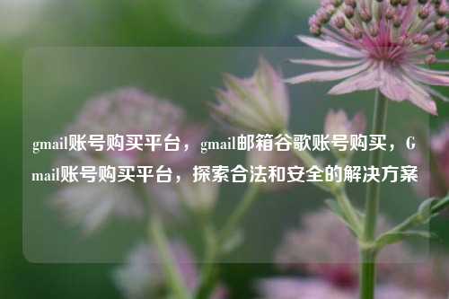 gmail账号购买平台，gmail邮箱谷歌账号购买，Gmail账号购买平台，探索合法和安全的解决方案