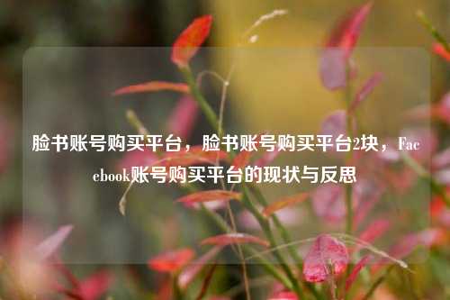 脸书账号购买平台，脸书账号购买平台2块，Facebook账号购买平台的现状与反思
