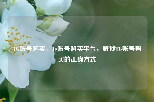 TG账号购买，Tg账号购买平台，解锁TG账号购买的正确方式