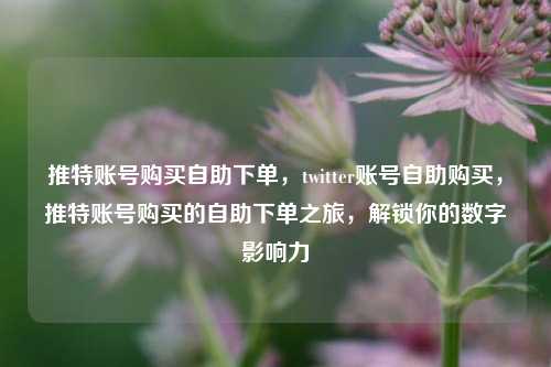 推特账号购买自助下单，twitter账号自助购买，推特账号购买的自助下单之旅，解锁你的数字影响力