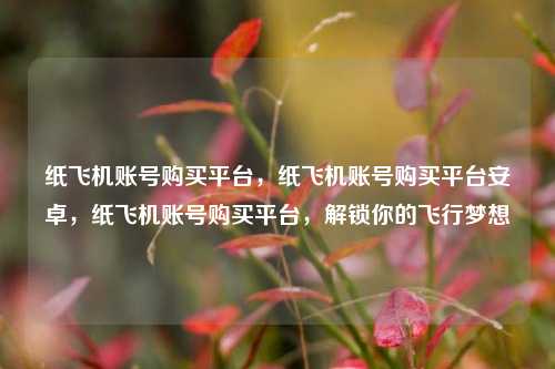 纸飞机账号购买平台，纸飞机账号购买平台安卓，纸飞机账号购买平台，解锁你的飞行梦想