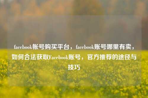 facebook帐号购买平台，facebook账号哪里有卖，如何合法获取Facebook账号，官方推荐的途径与技巧