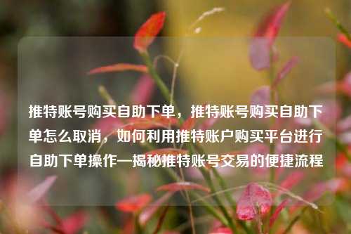 推特账号购买自助下单，推特账号购买自助下单怎么取消，如何利用推特账户购买平台进行自助下单操作—揭秘推特账号交易的便捷流程