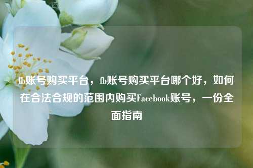 fb账号购买平台	，fb账号购买平台哪个好，如何在合法合规的范围内购买Facebook账号，一份全面指南  第1张