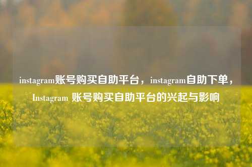 instagram账号购买自助平台，instagram自助下单，Instagram 账号购买自助平台的兴起与影响