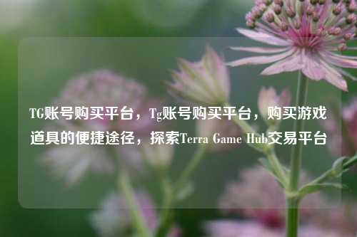 TG账号购买平台，Tg账号购买平台，购买游戏道具的便捷途径，探索Terra Game Hub交易平台