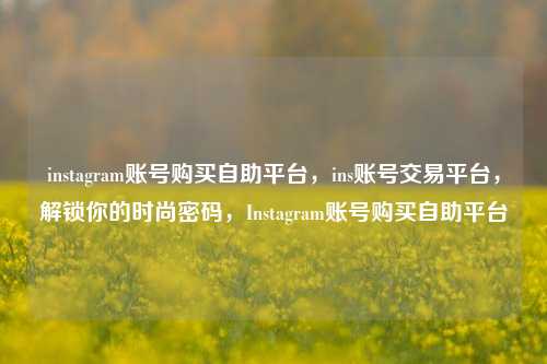 instagram账号购买自助平台，ins账号交易平台，解锁你的时尚密码，Instagram账号购买自助平台