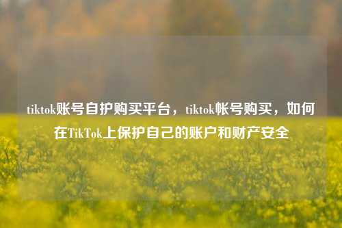 tiktok账号自护购买平台，tiktok帐号购买，如何在TikTok上保护自己的账户和财产安全