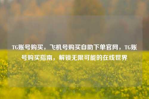 TG账号购买，飞机号购买自助下单官网，TG账号购买指南，解锁无限可能的在线世界