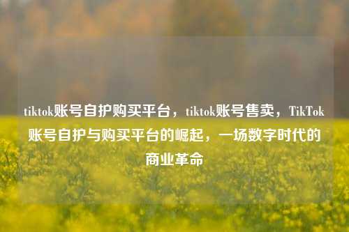 tiktok账号自护购买平台，tiktok账号售卖，TikTok账号自护与购买平台的崛起，一场数字时代的商业革命