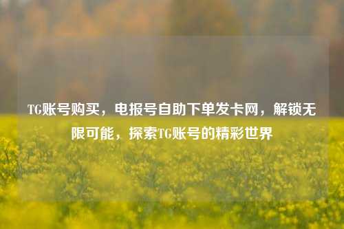 TG账号购买	，电报号自助下单发卡网，解锁无限可能，探索TG账号的精彩世界  第1张