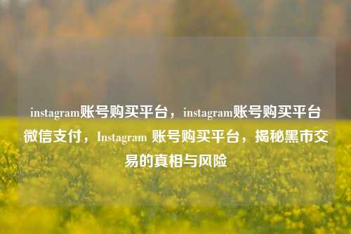 instagram账号购买平台，instagram账号购买平台微信支付，Instagram 账号购买平台，揭秘黑市交易的真相与风险