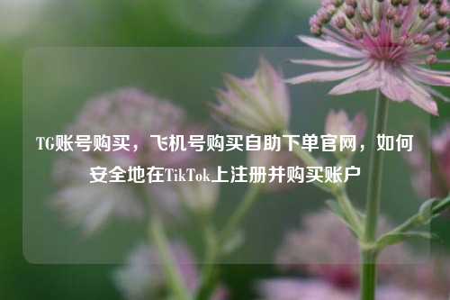TG账号购买，飞机号购买自助下单官网，如何安全地在TikTok上注册并购买账户