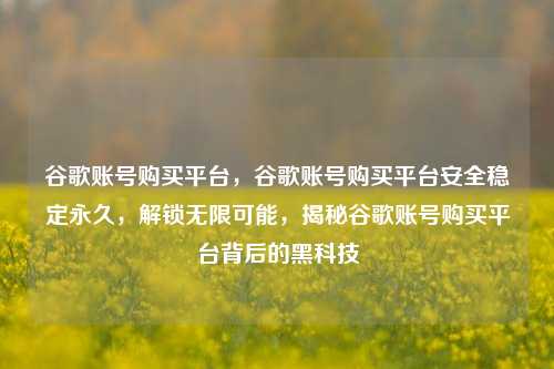 谷歌账号购买平台，谷歌账号购买平台安全稳定永久，解锁无限可能，揭秘谷歌账号购买平台背后的黑科技