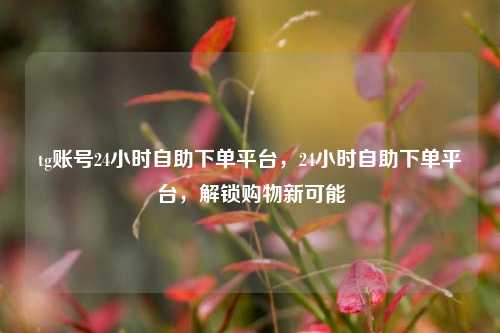 tg账号24小时自助下单平台，24小时自助下单平台，解锁购物新可能