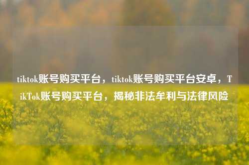 tiktok账号购买平台，tiktok账号购买平台安卓，TikTok账号购买平台，揭秘非法牟利与法律风险