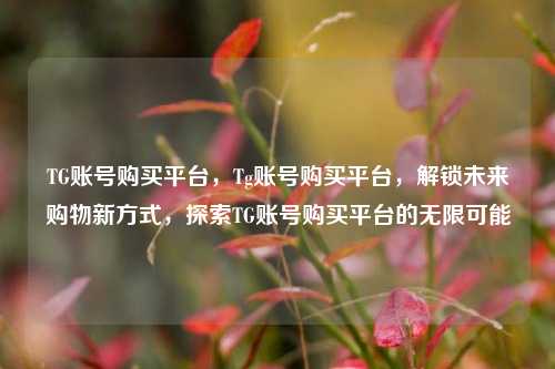 TG账号购买平台，Tg账号购买平台，解锁未来购物新方式，探索TG账号购买平台的无限可能