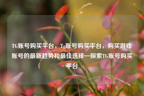 TG账号购买平台，Tg账号购买平台，购买游戏账号的最新趋势和最佳选择—探索TG账号购买平台