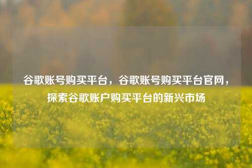 谷歌账号购买平台，谷歌账号购买平台官网，探索谷歌账户购买平台的新兴市场