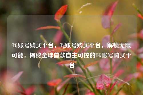 TG账号购买平台，Tg账号购买平台，解锁无限可能，揭秘全球首款自主可控的TG账号购买平台
