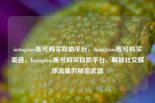 instagram账号购买自助平台，instagram账号购买渠道，Instagram账号购买自助平台，解锁社交媒体流量的秘密武器