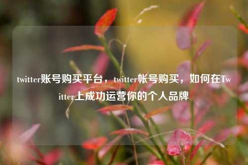 twitter账号购买平台，twitter帐号购买，如何在Twitter上成功运营你的个人品牌