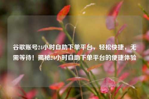 谷歌账号24小时自助下单平台，轻松快捷，无需等待！揭秘24小时自助下单平台的便捷体验
