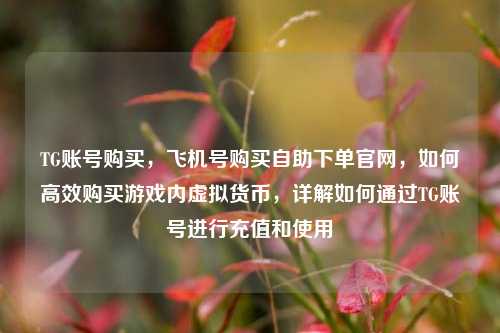 TG账号购买，飞机号购买自助下单官网，如何高效购买游戏内虚拟货币，详解如何通过TG账号进行充值和使用