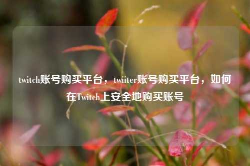 twitch账号购买平台，twiiter账号购买平台，如何在Twitch上安全地购买账号