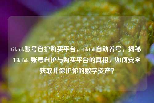 tiktok账号自护购买平台，tiktok自动养号，揭秘 TikTok 账号自护与购买平台的真相，如何安全获取并保护你的数字资产？