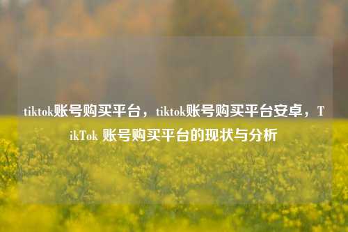tiktok账号购买平台，tiktok账号购买平台安卓，TikTok 账号购买平台的现状与分析