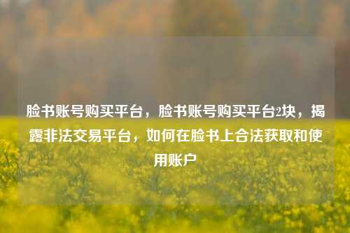 脸书账号购买平台，脸书账号购买平台2块，揭露非法交易平台，如何在脸书上合法获取和使用账户
