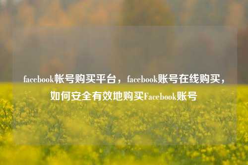 facebook帐号购买平台，facebook账号在线购买，如何安全有效地购买Facebook账号